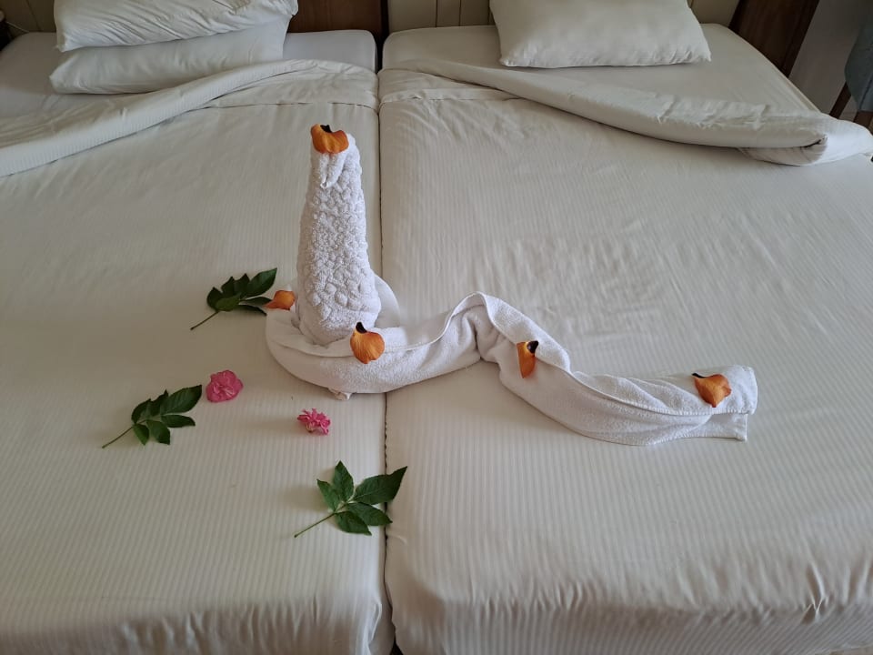 Zimmer Serenity Alpha Beach