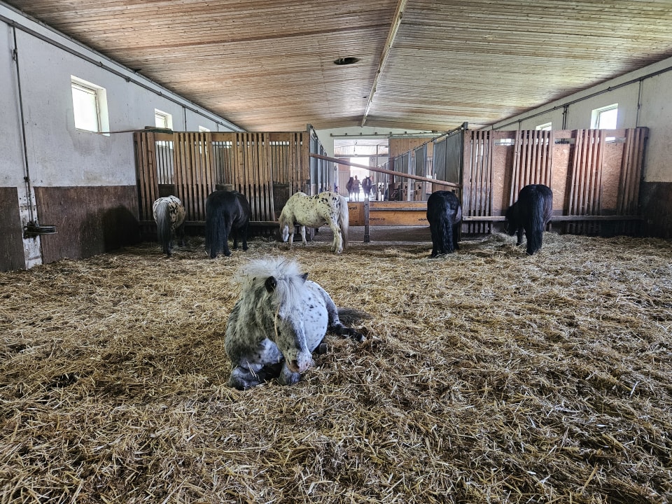 Sport & Freizeit Aldiana Club Ampflwang