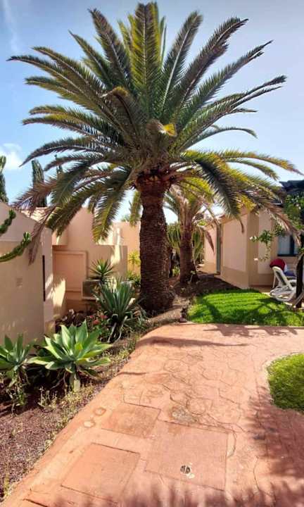 Gartenanlage allsun Hotel Esplendido