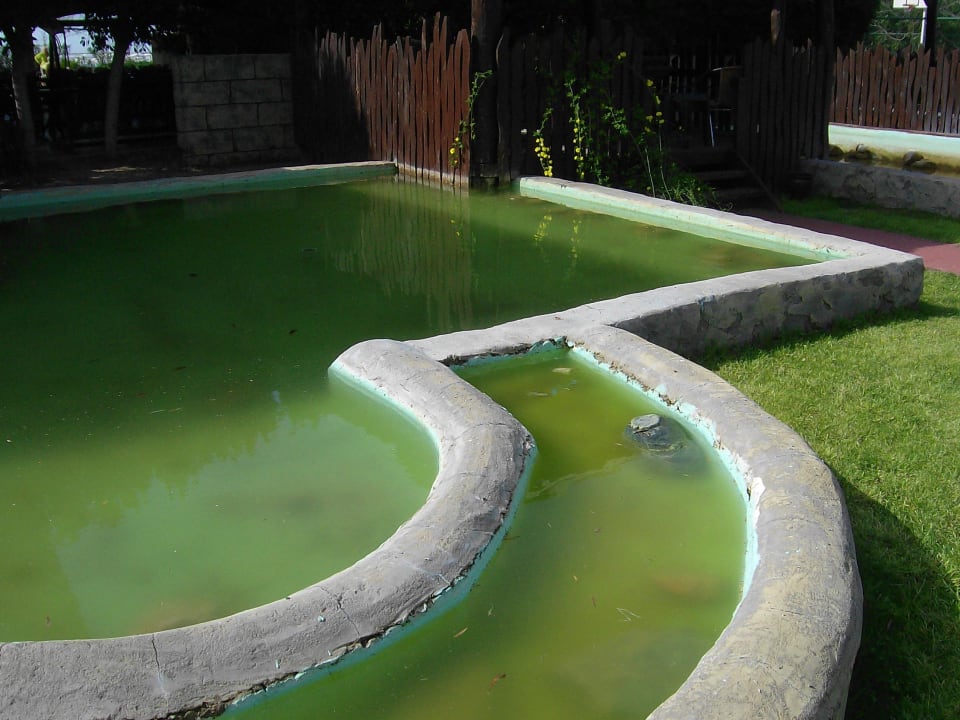 Kloake im kleinen Garten Sherwood Exclusive Lara