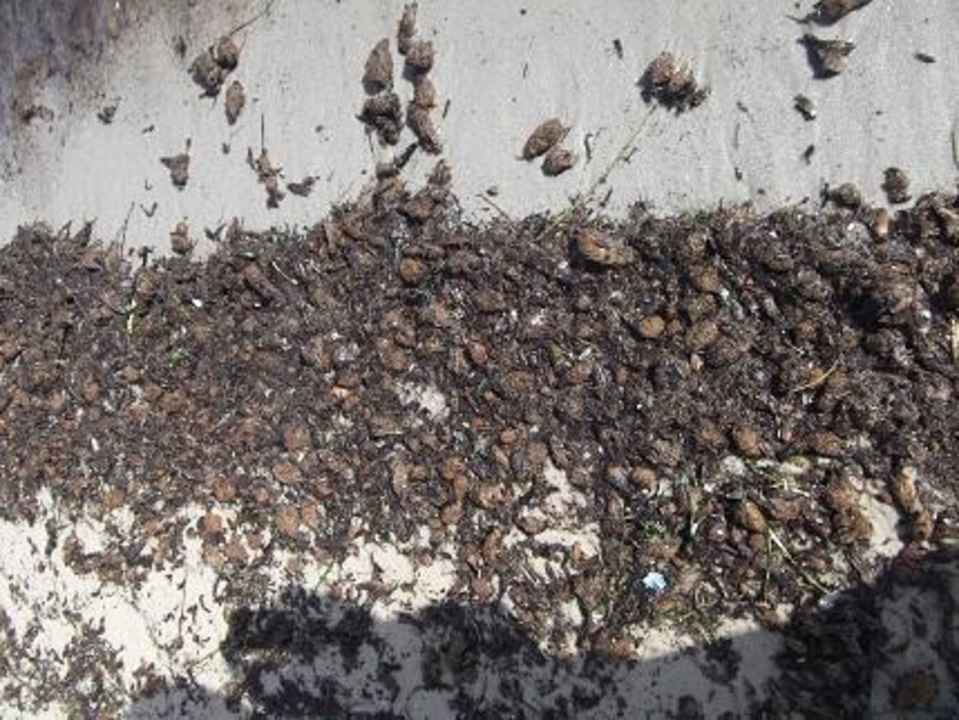 Dreck Alassio Hotel and Thalasso