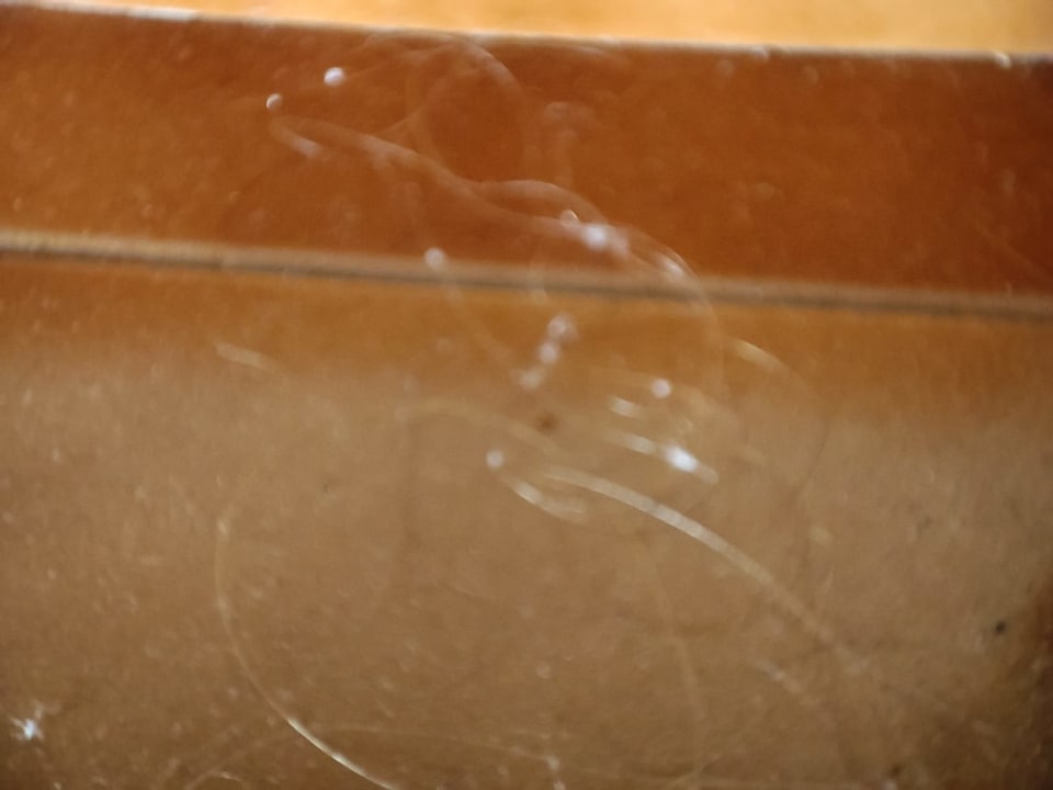 Zimmer BLUESEA Costa Jardin Spa