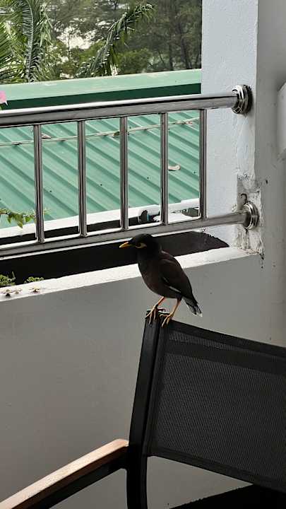 Zimmer Best Western Phuket Ocean Resort