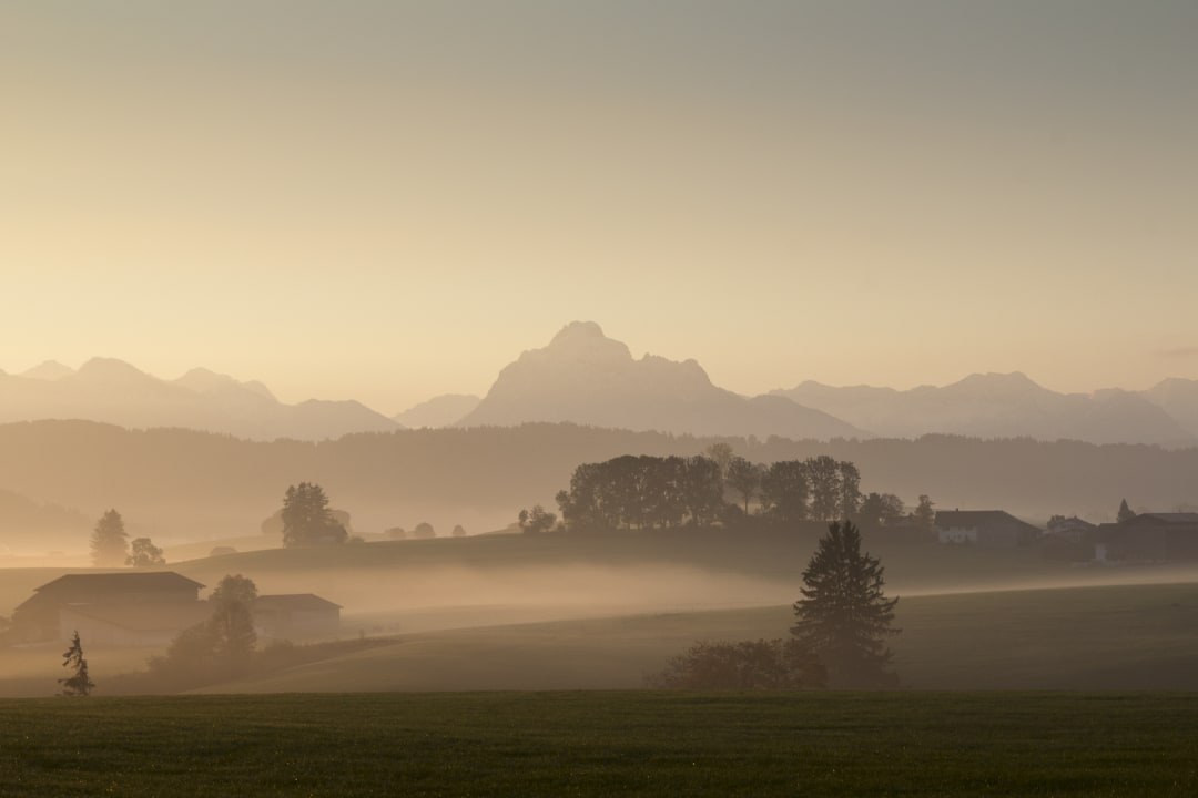 Ausblick Kinderferienhof Bergblick