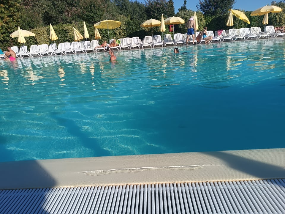 Pool Camping Le Palme