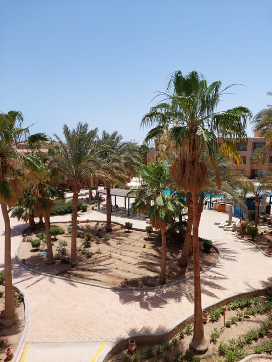 Gartenanlage Club Paradisio El Gouna, Red Sea
