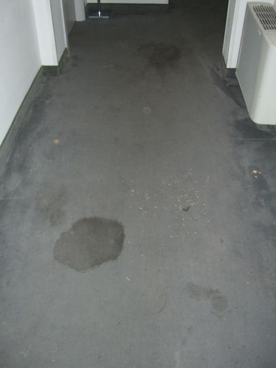 Teppich Club Meeting Hotel