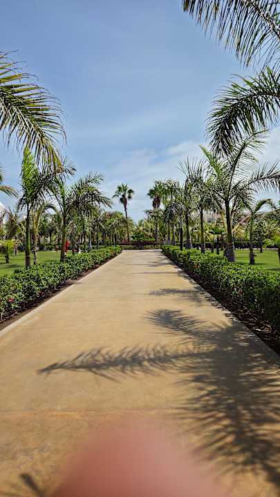 Gartenanlage Hotel Riu Palace Santa Maria