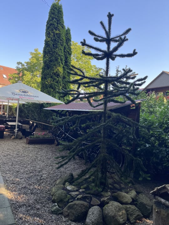 Gartenanlage Hotel Zum Alten Ritter