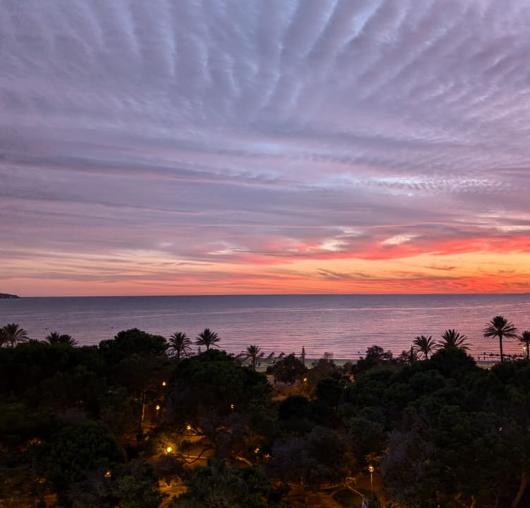 Ausblick Aparthotel Houm Plaza Son Rigo