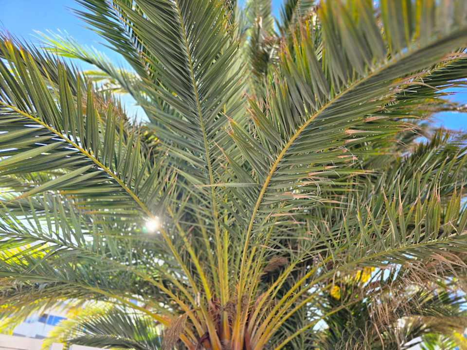 Außenansicht Grupotel Acapulco Playa - Adults Only