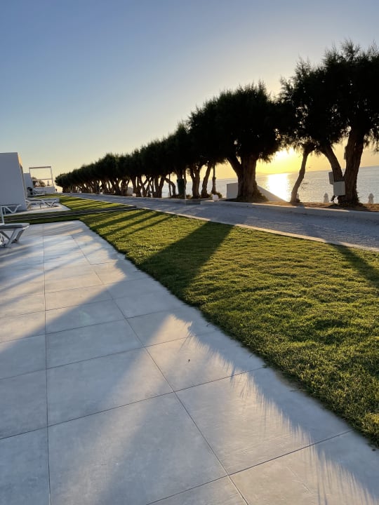 Gartenanlage Dimitra Beach Hotel & Suites