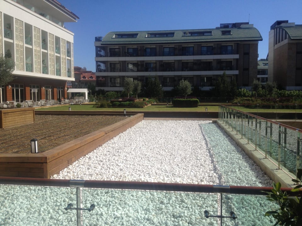 Gartenblick Sentido Trendy Verbena Beach