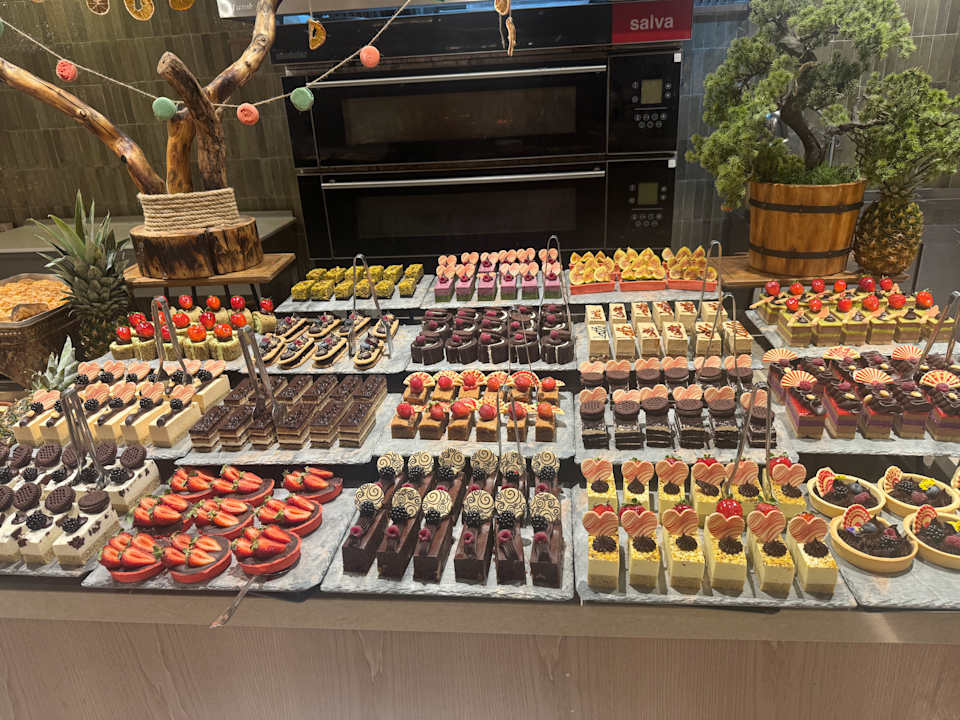 Gastro Arycanda Kirman Premium