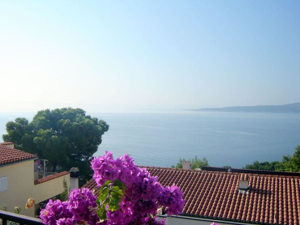 Outside picture Apartments Marija Brela