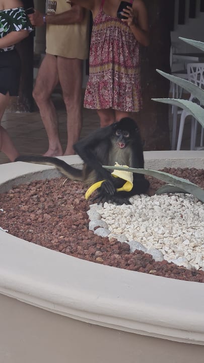 Sport & Freizeit Catalonia Playa Maroma