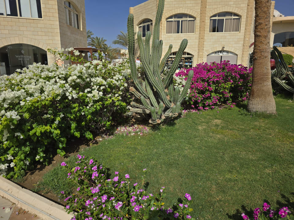 Gartenanlage Brayka Bay Resort