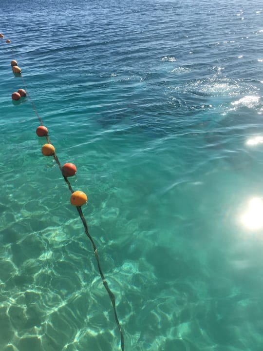 Strand Marina Resort Port Ghalib, a member of Radisson Individuals