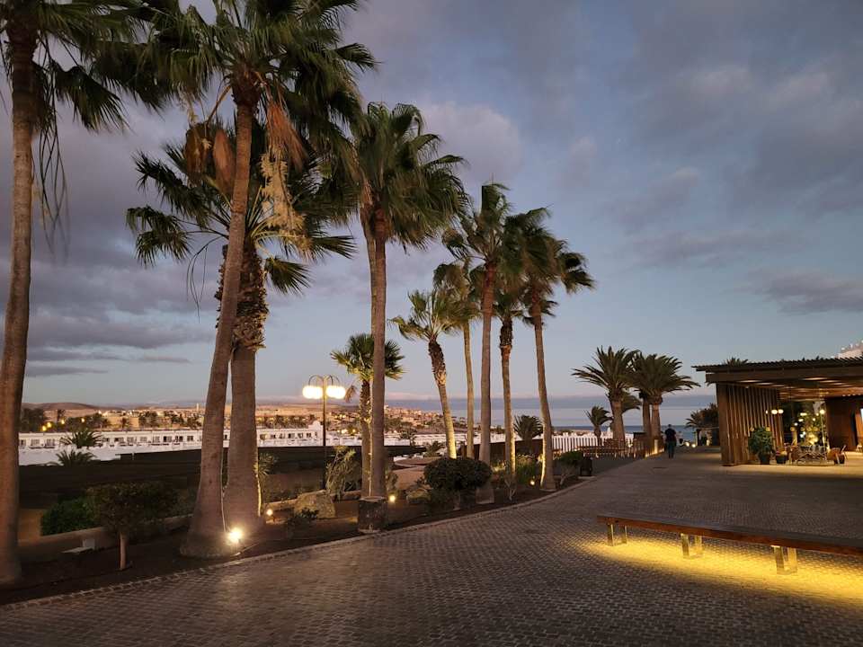 Lobby Sotavento Beach Club