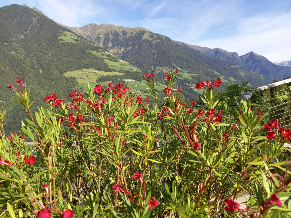 Ausblick Hotel Panorama