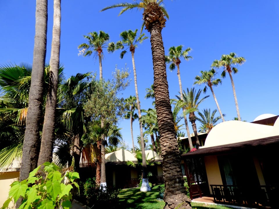 Gartenanlage Hotel Paradis Palace