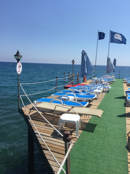 Strand Dizalya Palm Garden