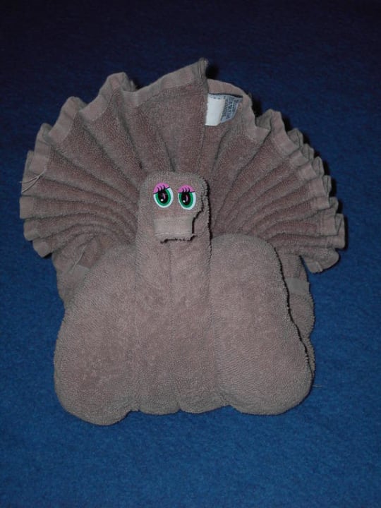 Taube Hotel Riu Tequila