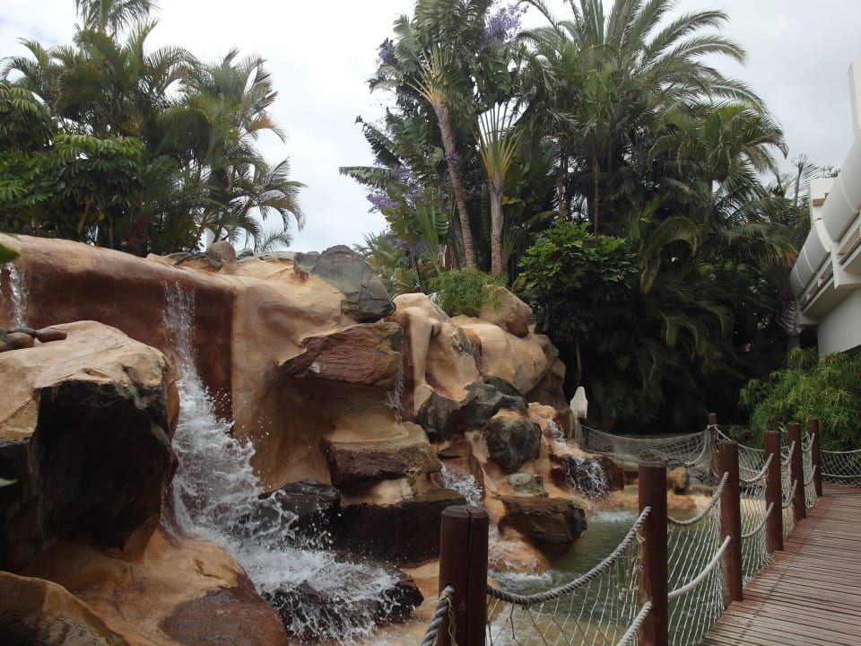 Gartenanlage Maspalomas Princess