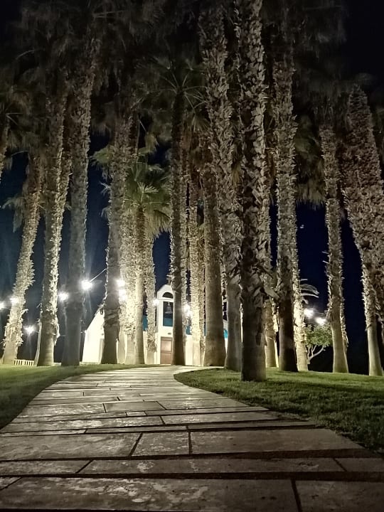 Gartenanlage Lyttos Beach Hotel