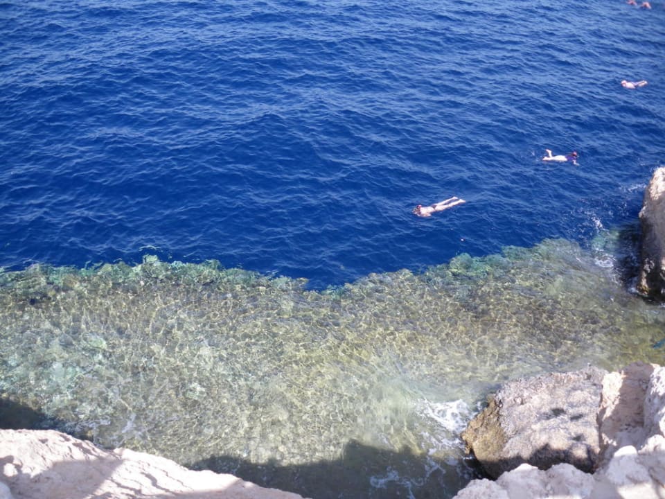 Hotel eigenes Riff zum schnorcheln The Grand Hotel Sharm El Sheikh