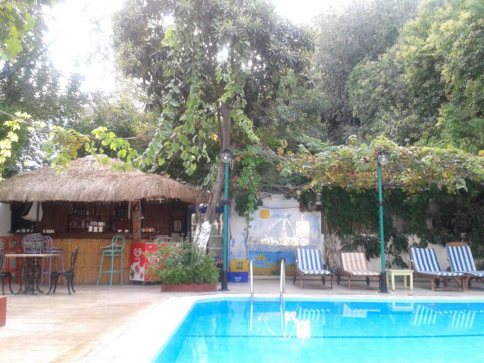 Pool mit Bar  Kaliptus Hotel
