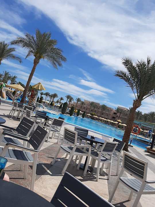 Pool Pickalbatros Palace Resort