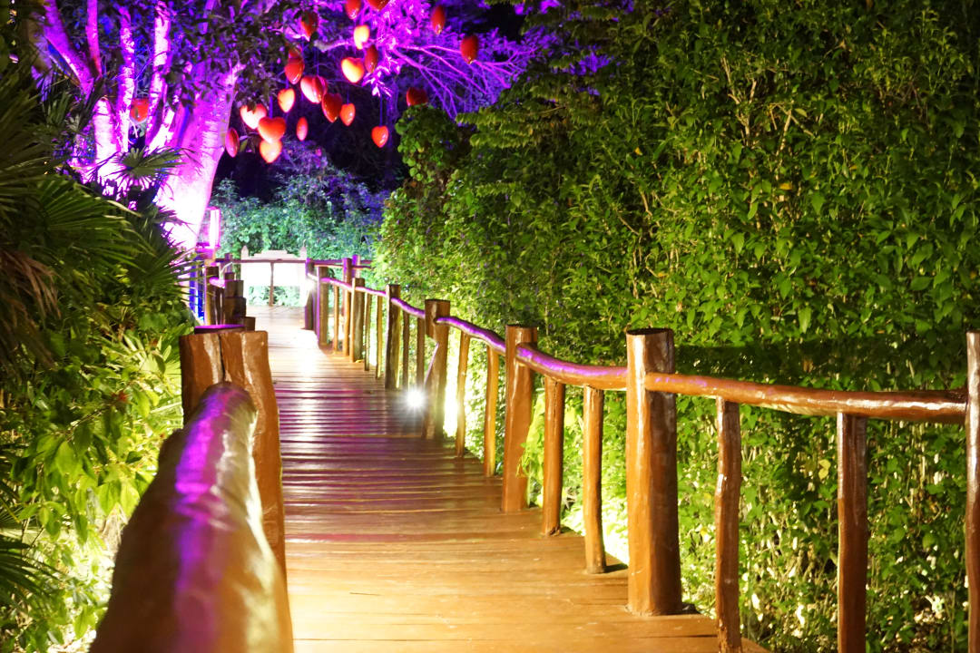 Gartenanlage Grand Palladium Select White Sand Resort & Spa