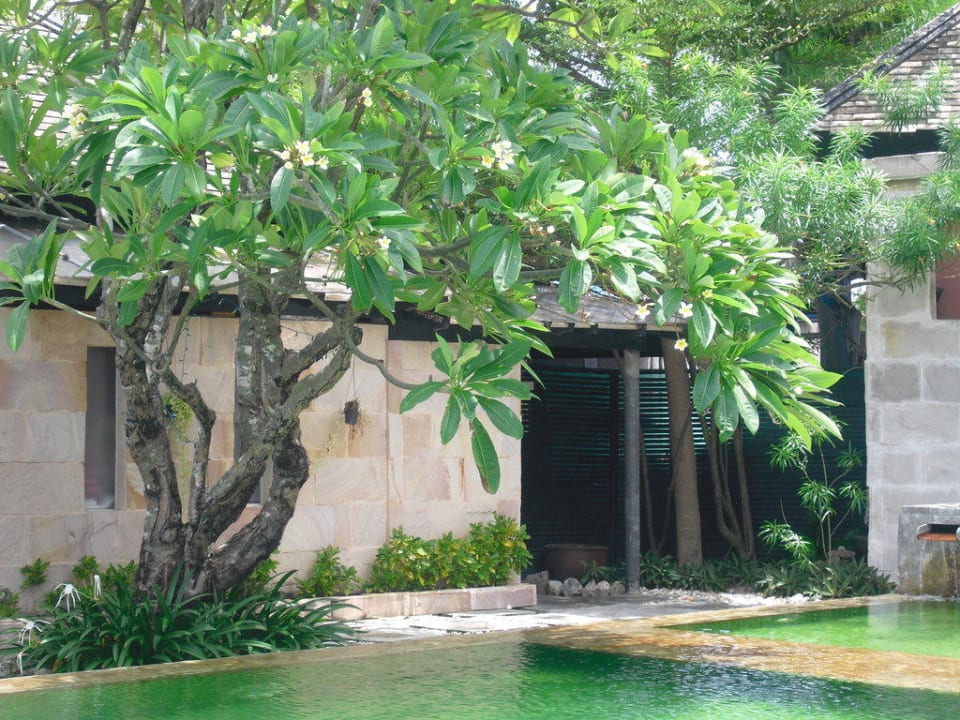 Pool Punnpreeda Beach Resort