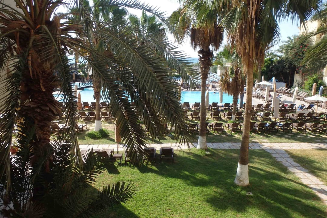 Bild Hotel Paradis Palace