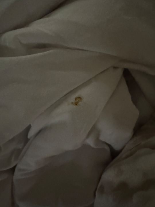 Zimmer Jaz Makadi Oasis Resort