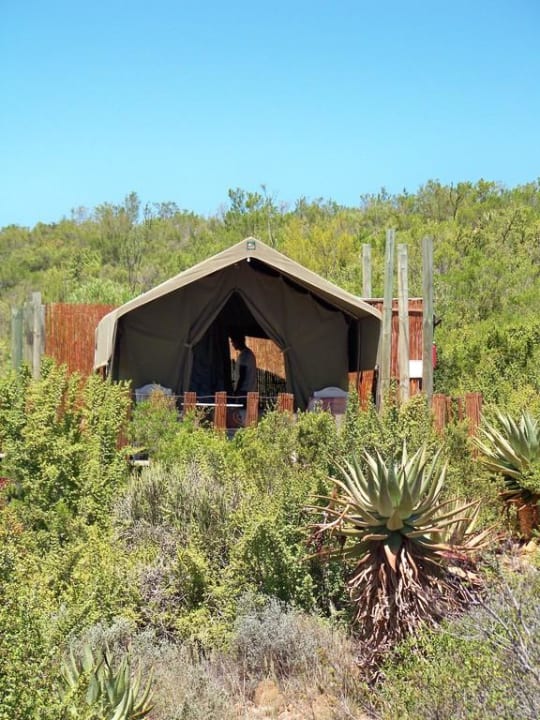 Die Luxury Tents von außen Le Petit Karoo Guesthouse