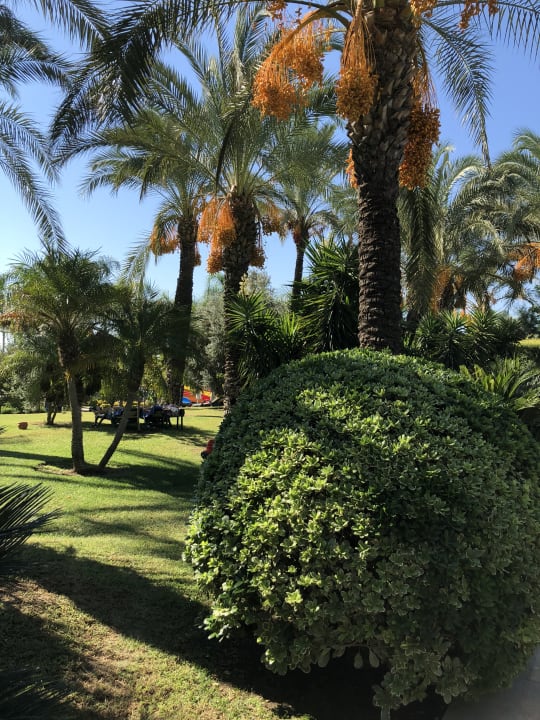 Gartenanlage Sunis Kumköy Beach Resort Hotel & Spa