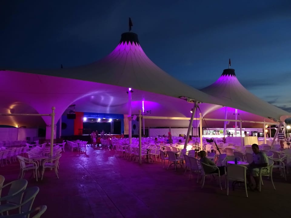 Minidisco Globales Bouganvilla