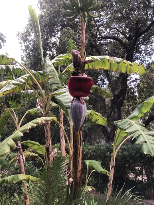 Gartenanlage Lago Garden