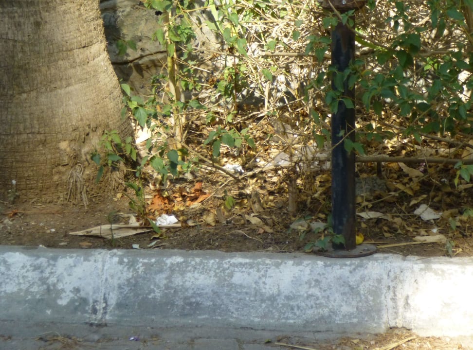 Lass die Bilder einfach wirken Voxx Resort