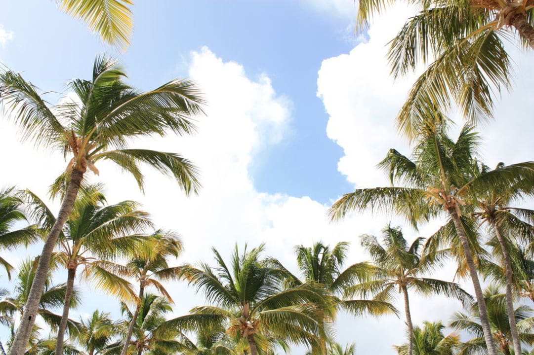 Himmlich Catalonia Punta Cana - All Inclusive