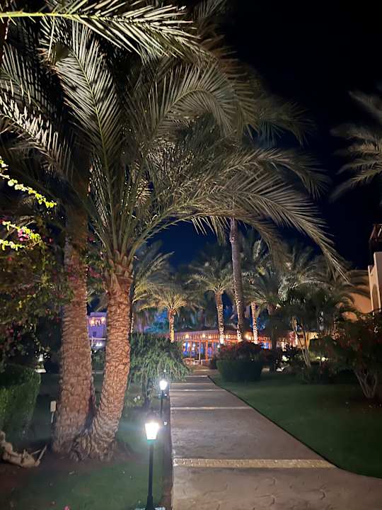 Gartenanlage Steigenberger Coraya Beach - Adults only