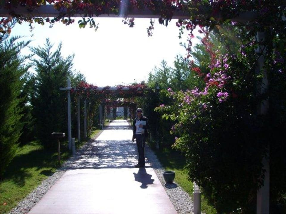 Gartenanlage, Weg zum Strand Saturn Palace Resort Hotel