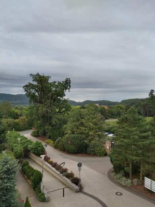 Ausblick Seehotel Maria Laach