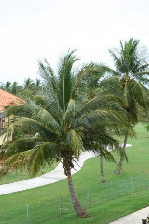 Widok z okna Muthu Playa Varadero