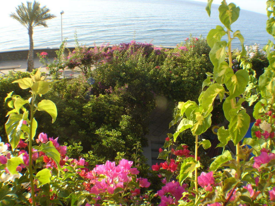 Der Garten Hotel San Nicolas