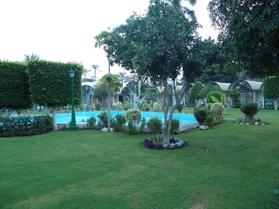 Oase  JAZ Pyramids Resort