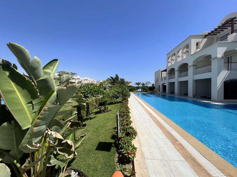 Pool Steigenberger Resort Alaya Marsa Alam - Red Sea - Adults only