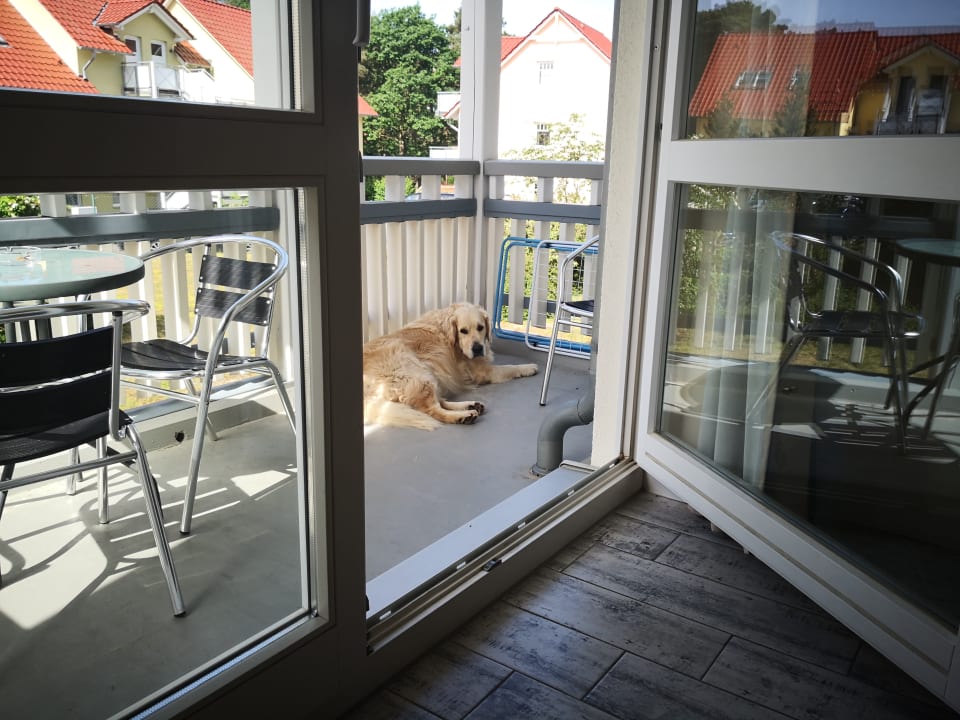 Sonstiges Vineta Ferienresidenz Usedom